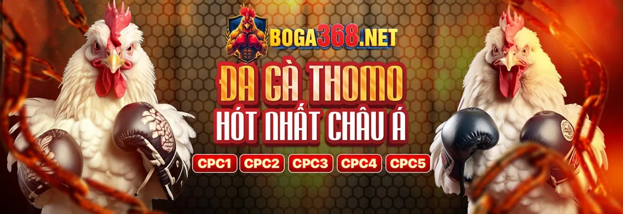 Hình ảnh chính về đá gà trực tiếp 388, với giao diện nền tảng an toàn và người chơi đang đặt cược