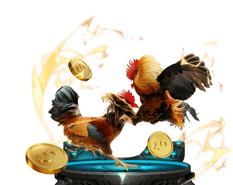 Hướng dẫn đăng ký tài khoản 388 Trực Tiếp Đá Gà